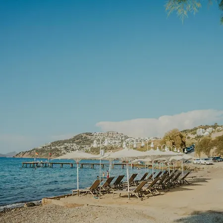 Bovilla Sentio Yalikavak Willa Bodrum